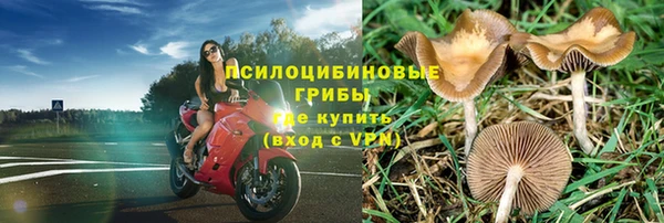 винт Белокуриха