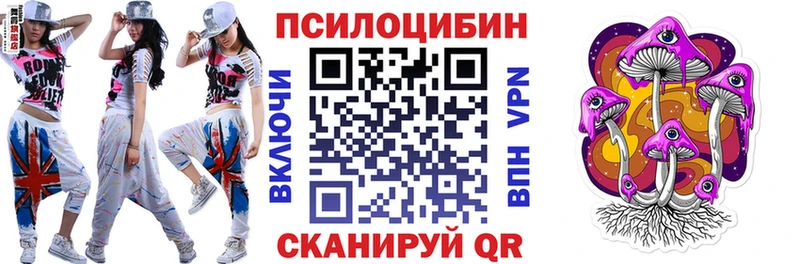 OMG зеркало  Кунгур  Псилоцибиновые грибы Psilocybine cubensis 